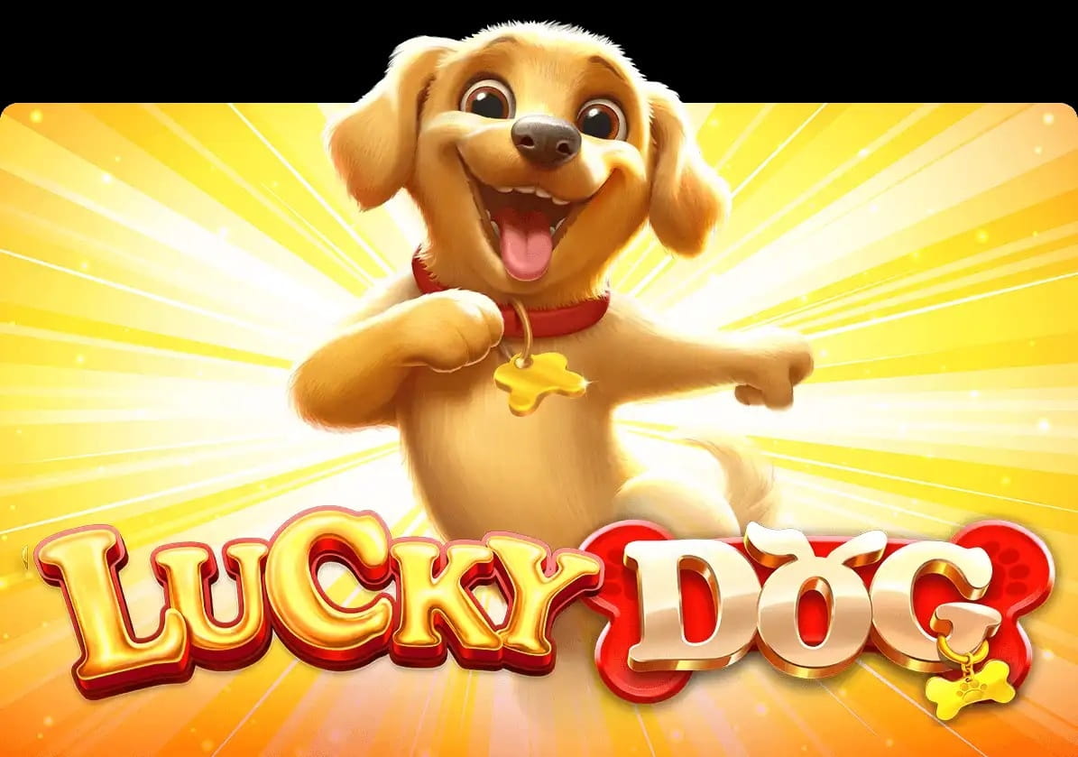 lucky-dog