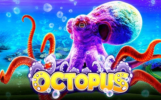 octopus