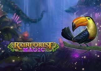 rainforest-magic